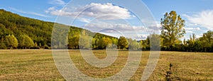 Field and woods panorama