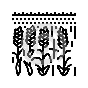 field yellow ripe wheat line icon vector illustration