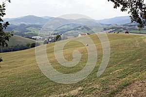 Fields along via Francigena in Borgo Taro area photo