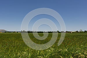 Fields around Peratallada