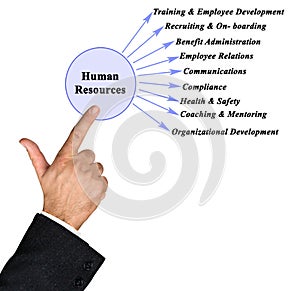 Fields of attention of Human Resources