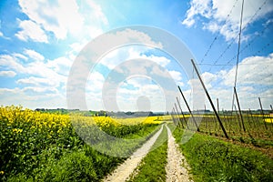 Fields of Bavaria