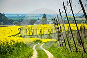 Fields of Bavaria