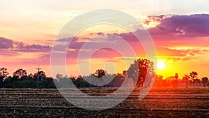 Fields and beautiful nature The sun is setting the horizon beautiful