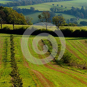 Fields of Berry Pomeroy Village in Devon