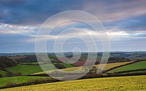 Fields of Berry Pomeroy Village in Devon, England