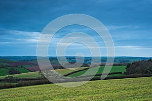 Fields of Berry Pomeroy Village in Devon, England