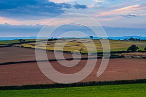 Fields of Berry Pomeroy Village in Devon