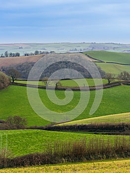 Fields of Berry Pomeroy Village in Devon, England photo