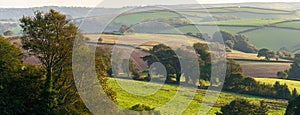 Fields of Berry Pomeroy Village in Devon
