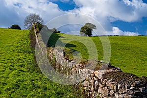 Fields of Berry Pomeroy Village in Devon