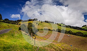 Fields in Cartago Province, Costa Rica photo