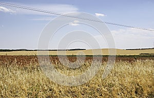 Fields of Castilla-La Mancha photo