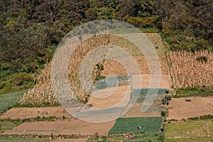 Fields in central Guatemala