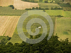 Fields of cereals and vineyards