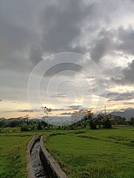 Fields clouds evening