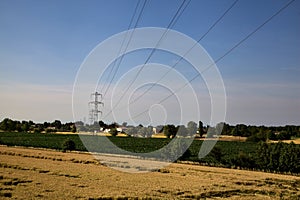 Fields of corn and wheat with electricity pylon in the countryside at sunset in summer