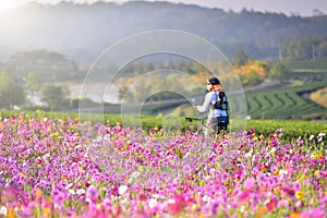 Fields of Cosmos .