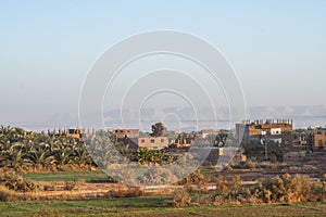 Fields at Dahla oasis