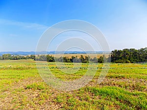 Fields and deciduous forest