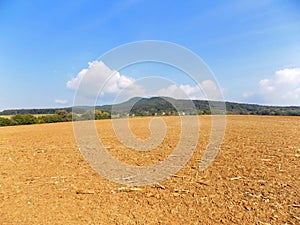 Fields and deciduous forest