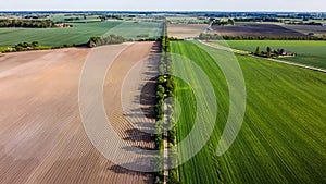 Fields in Denmark