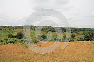 Fields of Derbyshire Dales