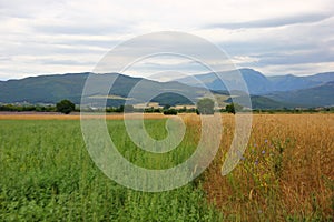 fields with different plantings