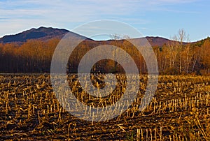 Fields with distant mountains in a view, Stowe, Vermont, USA.