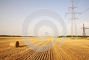 Fields of dry ripe wheat on the background of metal pylons of electric wires