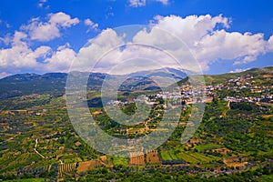 Fields of Ein Qiniyye in the slopes of Mount Hermon the north of Israel photo