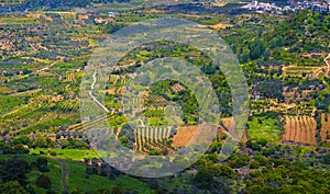 Fields of Ein Qiniyye in the slopes of Mount Hermon the north of Israel photo