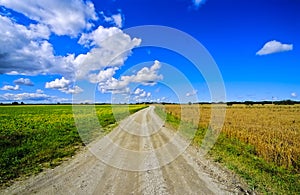Fields in Estonia no.1 photo