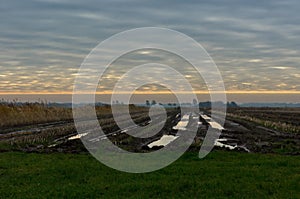 Fields in the evening