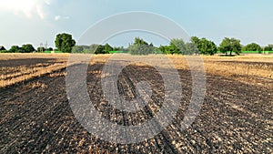 Fields fire blaze barley after flame wild drought dry black earth ground catastrophic pity damage Hordeum vulgare