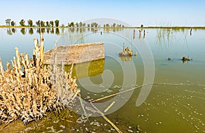 Fields flooded with water. Sunny day on water-covered grounds