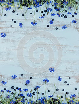 Fields flowers and berries over light blue wooden table background. Frame with cornflowers, camomile and blueberries. Backdrop