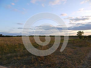 Fields and forest belts of the central chernozem region.