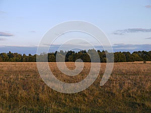 Fields and forest belts of the central chernozem region. photo