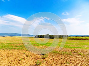 Fields, forest and sky