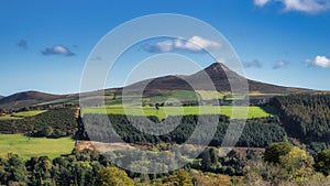 Fields and forests at foothill of Sugarloaf Mountain, Wicklow Mountains, Ireland