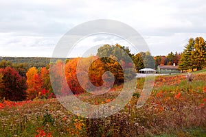 Fields of the Fruitlands Museum