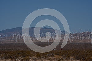 Fields of green energy wind turbines in the hills of California in United States