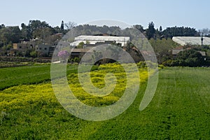 Fields in Hanadiv valley, Givat Ada Israel