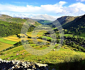 The fields of Hartsop