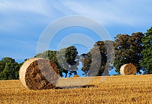 Campo pacas de heno 