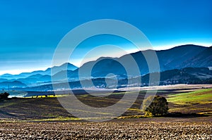 Fields in HDR