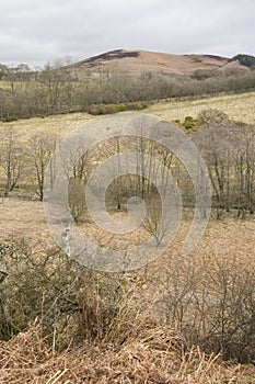 Fields and hillside in fall