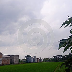 fields and houses in the village