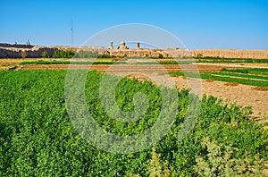 The fields inside the fortress, Kashan, Iran